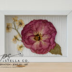 Palmer + Stella Co. – Flower Preservation