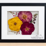 Palmer + Stella Co. – Flower Preservation